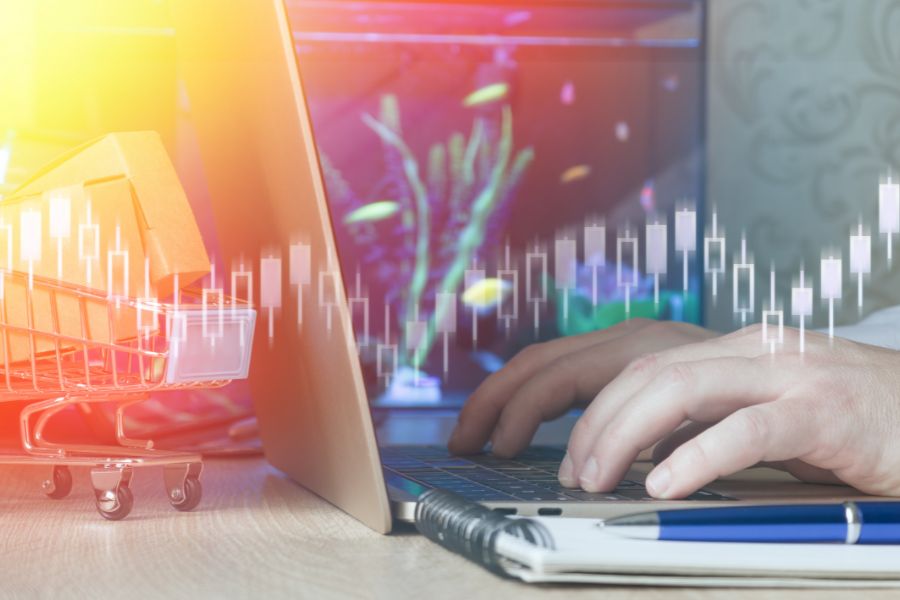 CÓMO ORGANIZAR CORRECTAMENTE LAS CATEGORÍAS EN WOOCOMMERCE.jpg